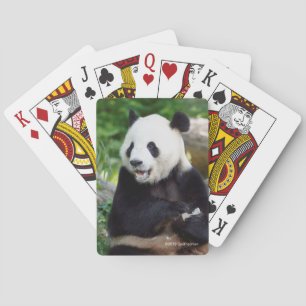 Giant Panda Eating Bamboo Playing Cards