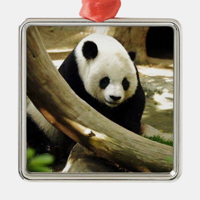 Giant Panda Gao Gao at the San Diego Zoo Metal Ornament (Front)