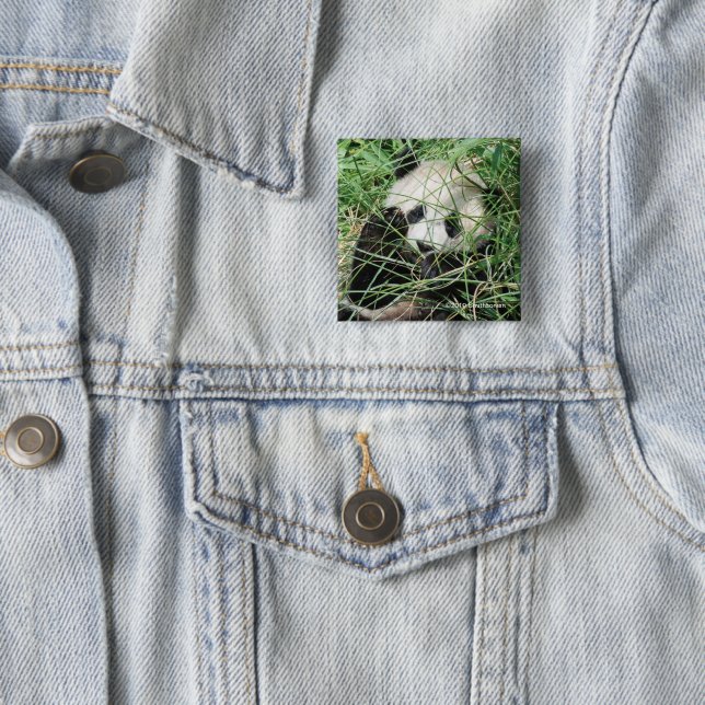 Giant Panda Hiding In Grass 2 Inch Square Button (In Situ)