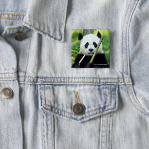 Giant Panda Holding Bamboo 2 Inch Square Button