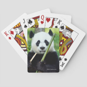 Giant Panda Holding Bamboo Playing Cards