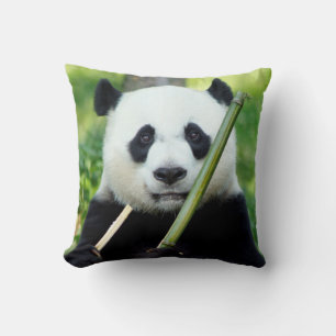 Giant Panda Holding Bamboo Throw Pillow
