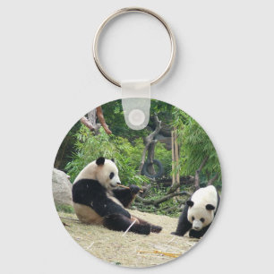 Giant panda in a wild animal zoo photography. keychain