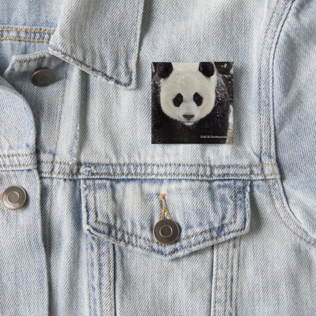 Giant Panda in Snow 2 Inch Square Button (In Situ)