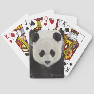 Giant Panda in Snow Playing Cards