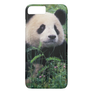 Giant panda in the grass, Wolong Valley, Sichuan Case-Mate iPhone Case