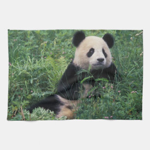Giant panda in the grass, Wolong Valley, Sichuan Kitchen Towel