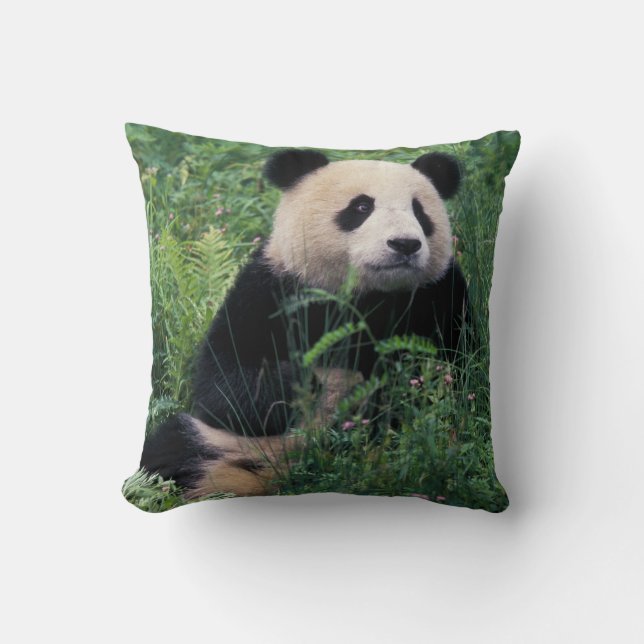 Giant panda in the grass, Wolong Valley, Sichuan Throw Pillow (Front)