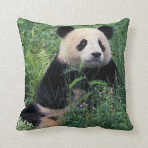 Giant panda in the grass, Wolong Valley, Sichuan Throw Pillow