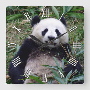 Giant Panda Keep Smiling, China Animals Square Wall Clock