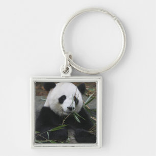 Giant panda keychain