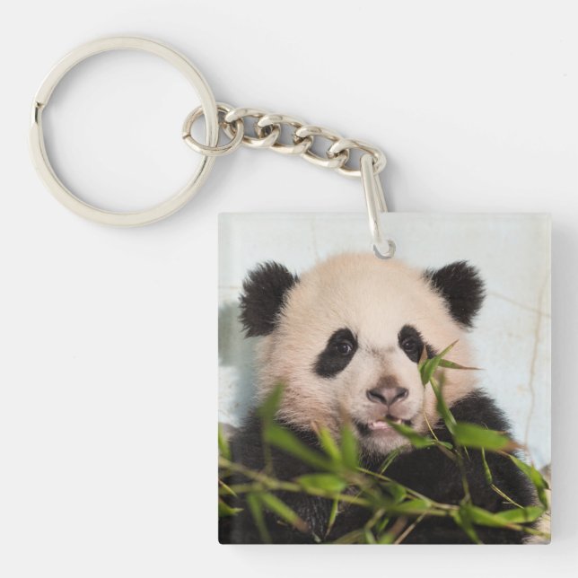 Giant Panda leaning Against Wall Keychain (Front)