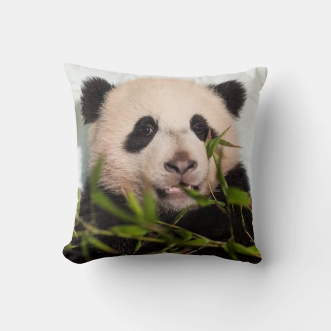 Giant Panda leaning Against Wall Throw Pillow (Front)
