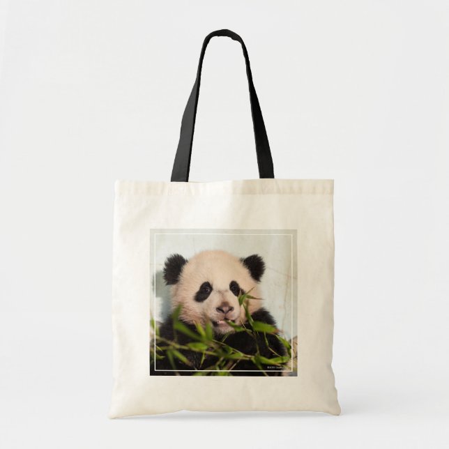 Giant Panda leaning Against Wall Tote Bag (Front)