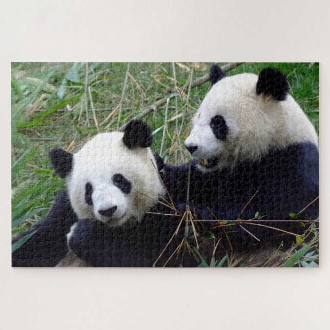 Giant Panda - Love & Bamboo /China Bears Jigsaw Puzzle (Horizontal)