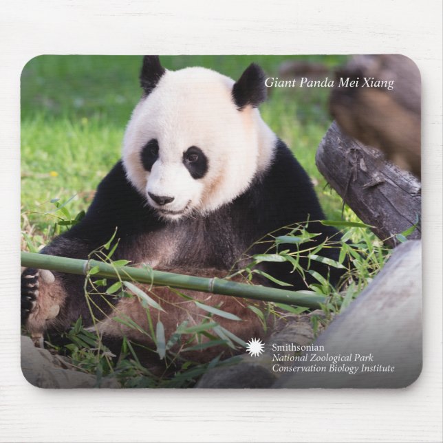 Giant Panda Mei Xiang Mouse Pad (Front)
