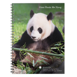 Giant Panda Mei Xiang Notebook