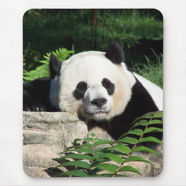 Giant Panda Napping Mouse Pad (Front)