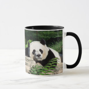 Giant Panda Napping Mug