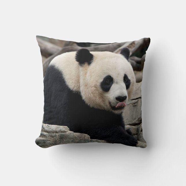 Giant Panda on Rocks Throw Pillow (Front)
