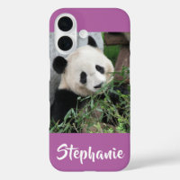Giant Panda, Orchid, Purple, Name