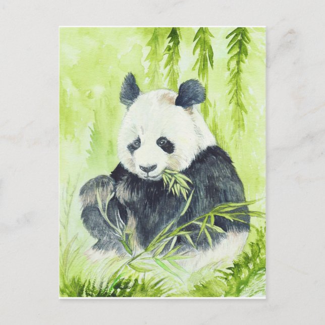 Giant panda postcard (Front)