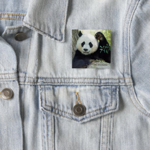 Giant Panda Resting Against Tree 2 Inch Square Button