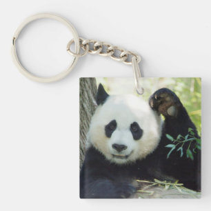 Giant Panda Resting Against Tree Keychain