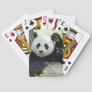 Giant Panda Resting Against Tree Playing Cards