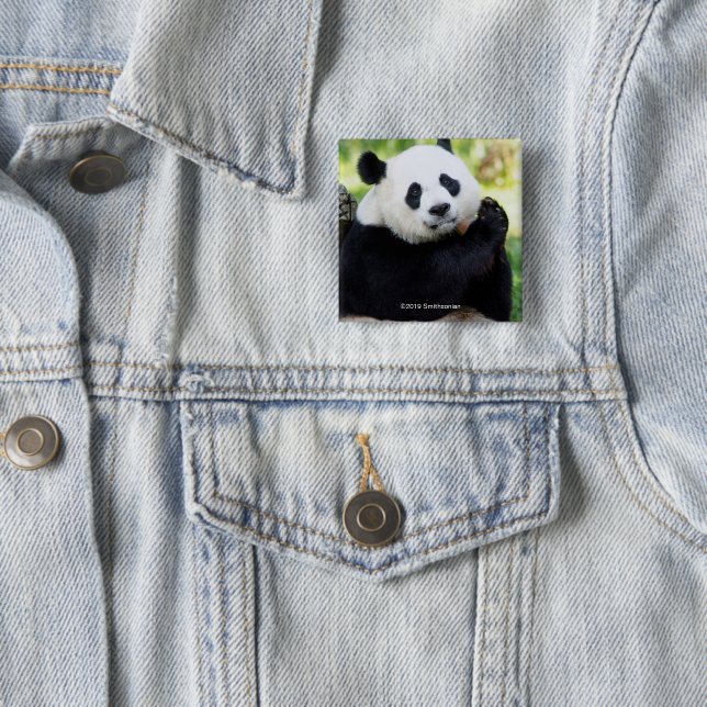 Giant Panda Sitting 2 Inch Square Button (In Situ)