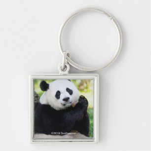 Giant Panda Sitting Keychain