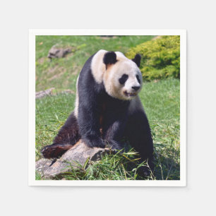 Giant panda sitting on a stone   napkin