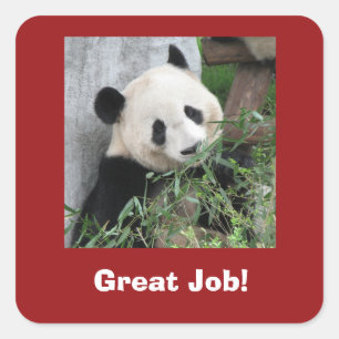 Giant Panda Stickers, Teacher, Great Job! Square Sticker