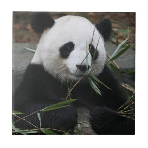 Giant panda tile