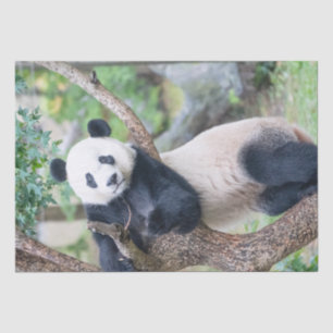 Giant Panda Tissue Paper / Decoupage Paper 