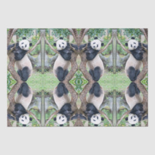 Giant Panda Tissue Paper / Decoupage Paper 