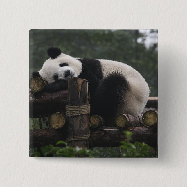 Giant pandas at the Giant Panda Protection 2 Inch Square Button (Front)