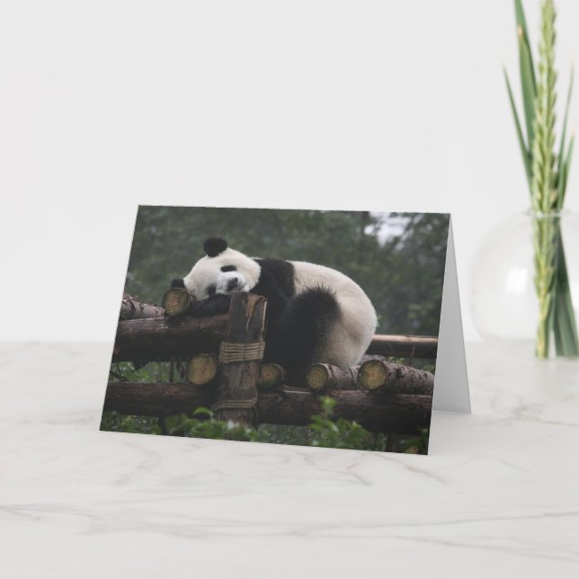 Giant pandas at the Giant Panda Protection & 3 Card (Front)