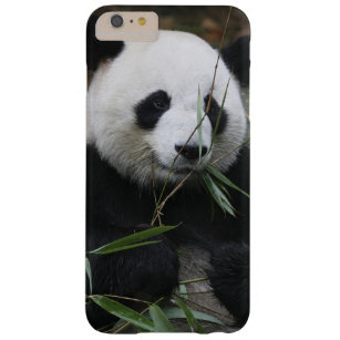 Giant pandas at the Giant Panda Protection Barely There iPhone 6 Plus Case