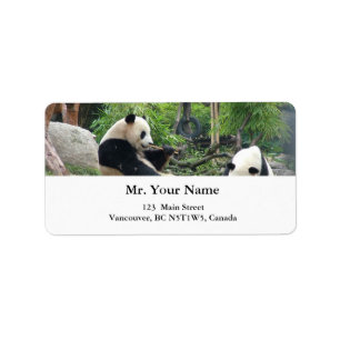 Giant pandas label