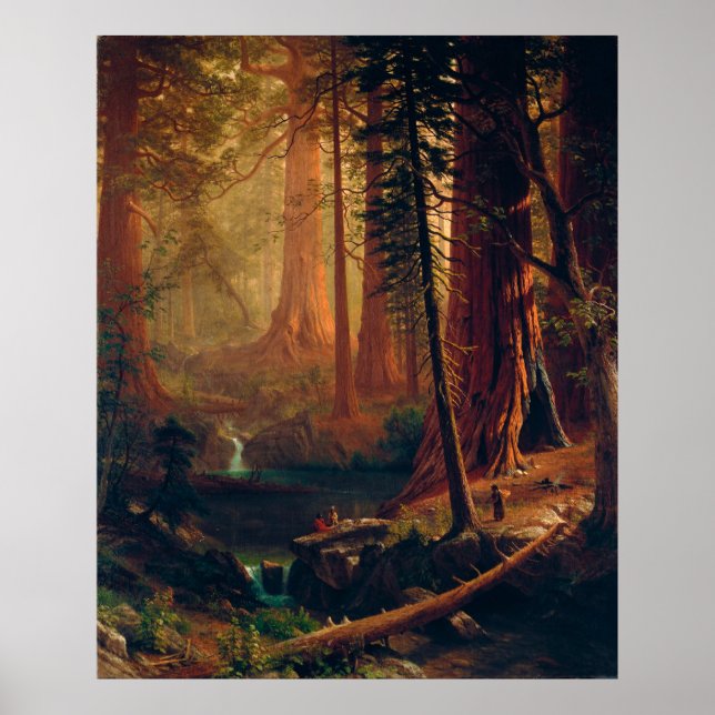 Giant Redwood Trees of California by A. Bierstadt Poster (Front)