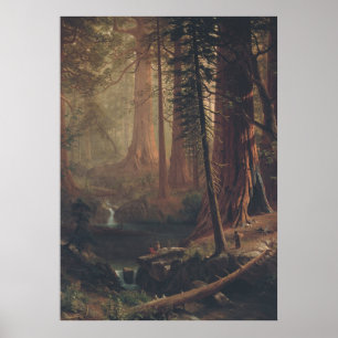 Giant Redwood Trees of California Poster