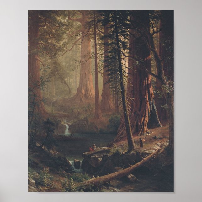 Giant Redwoods by Albert Bierstadt Poster (Front)