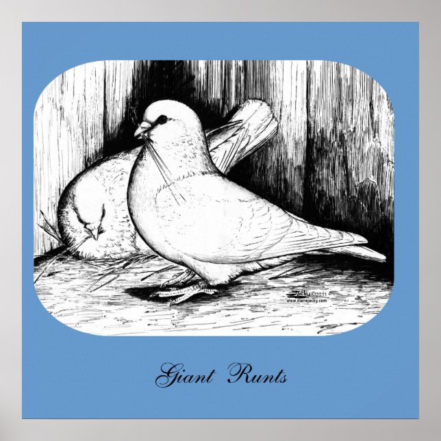 Giant Runt Pigeons Poster (Front)