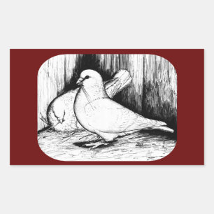 Giant Runt Pigeons Sticker