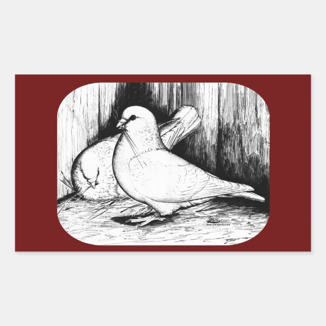Giant Runt Pigeons Sticker (Front)