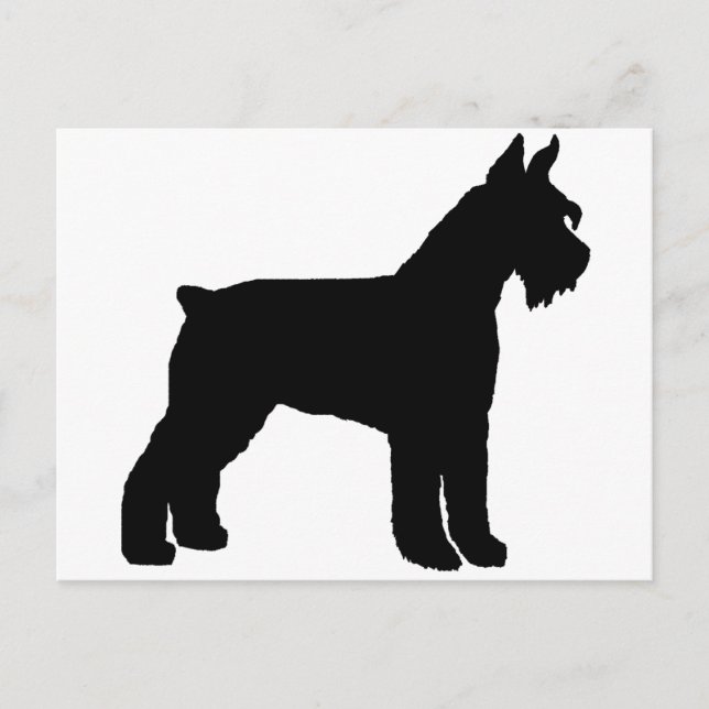 Giant Schnauzer (black) Postcard (Front)