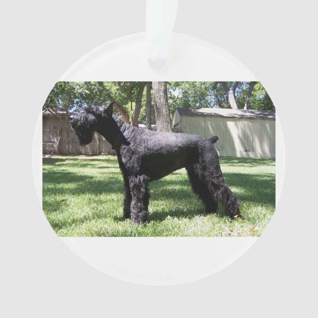 Giant Schnauzer full.png Ornament (Front)
