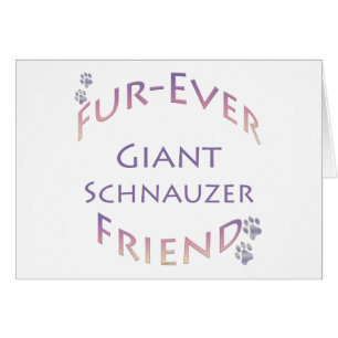 Giant Schnauzer Furever