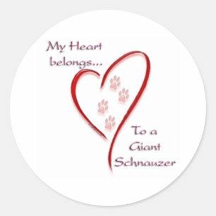 Giant Schnauzer Heart Belongs Classic Round Sticker